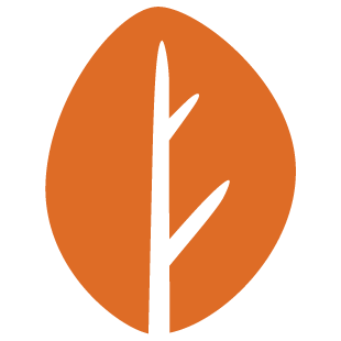 playontrack.com favicon